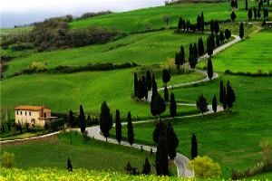 Heart-warming 2 Days Ooty and Ooty Tour Package