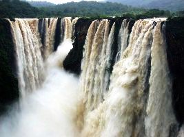 Besides Beaches, Goa Also Has Some Striking Waterfall, Check Out