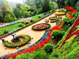 Ooty Botanical Gardens