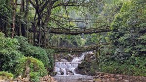 Meghalaya Travelogue and Travel Stories –A Backpacking Tour of Meghalaya
