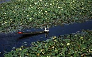 Jammu and Kashmir Tourism Board Set for a Complete New Makeover