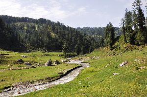 Jai Valley