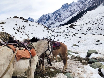 Kashmir Tour Package for 5 Nights 6 Days