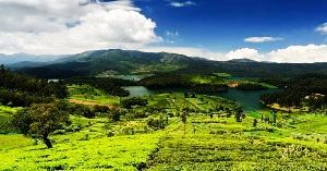 Move To Ooty To Take A Break This Summer