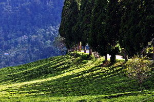 10 Popular Short Treks in Sikkim