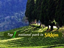 Top 1 national park in Sikkim