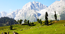 Sonmarg